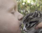 image of a child's face profile with kitten for Capital Caring