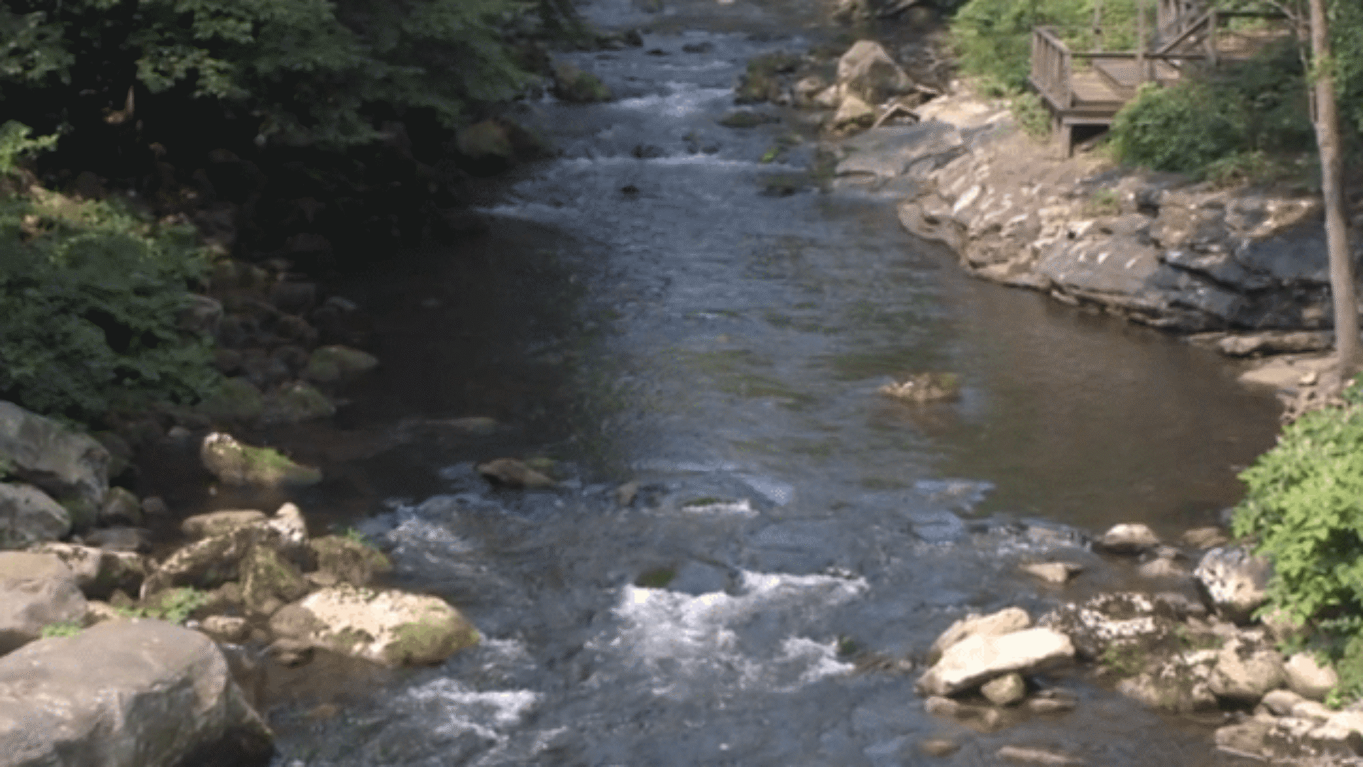 BrookTroutFishHabitatPartnership2