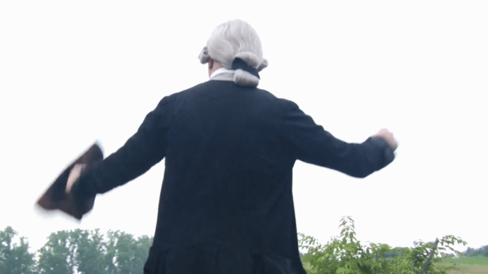 Rear view of a historical reenactor dressed as George Washington, wearing a powdered wig and dark coat, overlooking a green landscape.