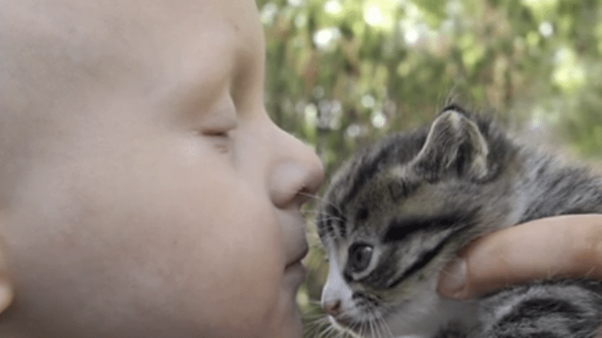 image of a child's face profile with kitten for Capital Caring